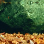 三里水中紅葉-1