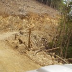 作業道 – コピー