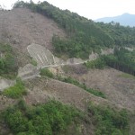 切り取られた山