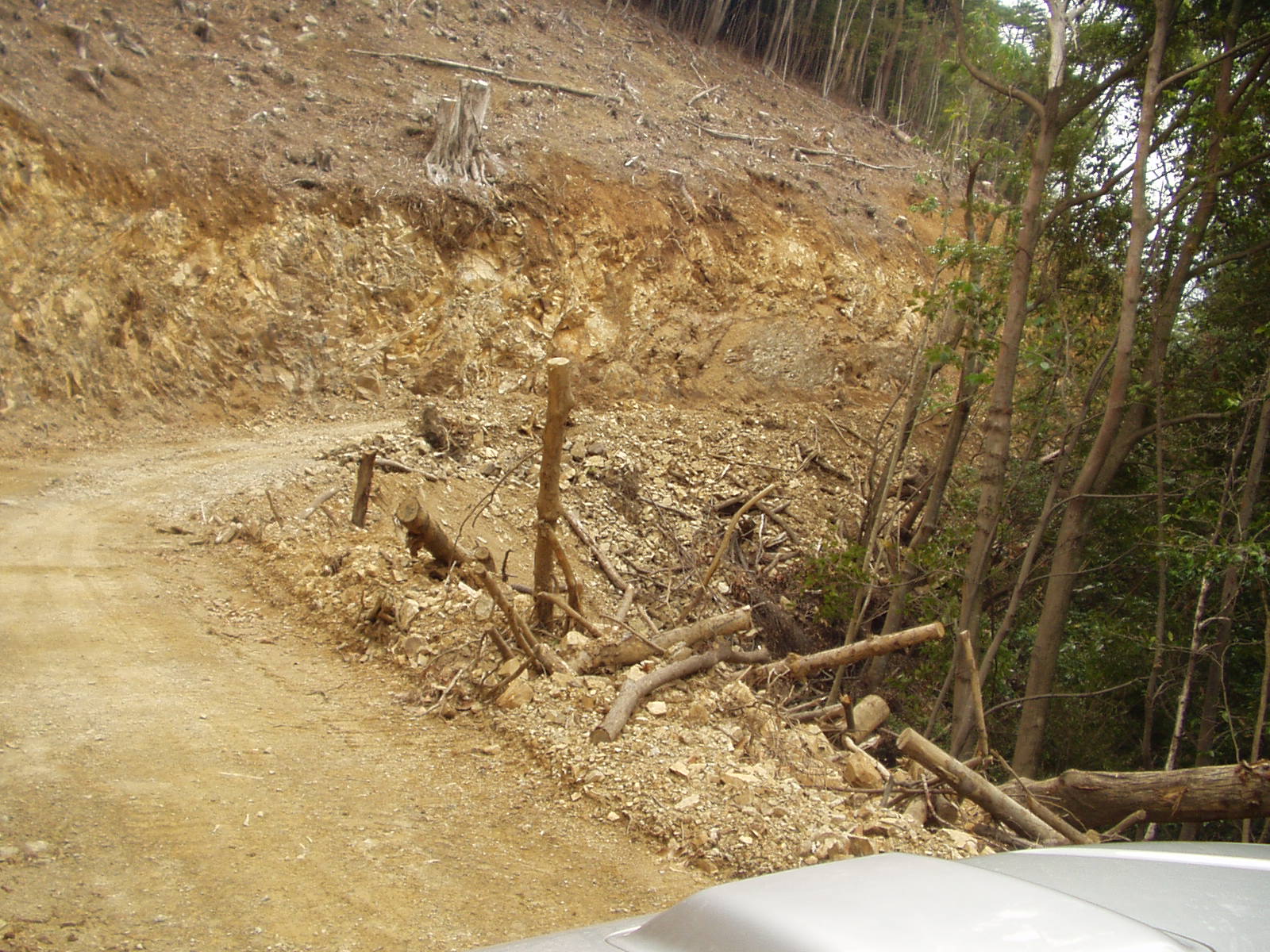 作業道 - コピー 作業道 - コピー