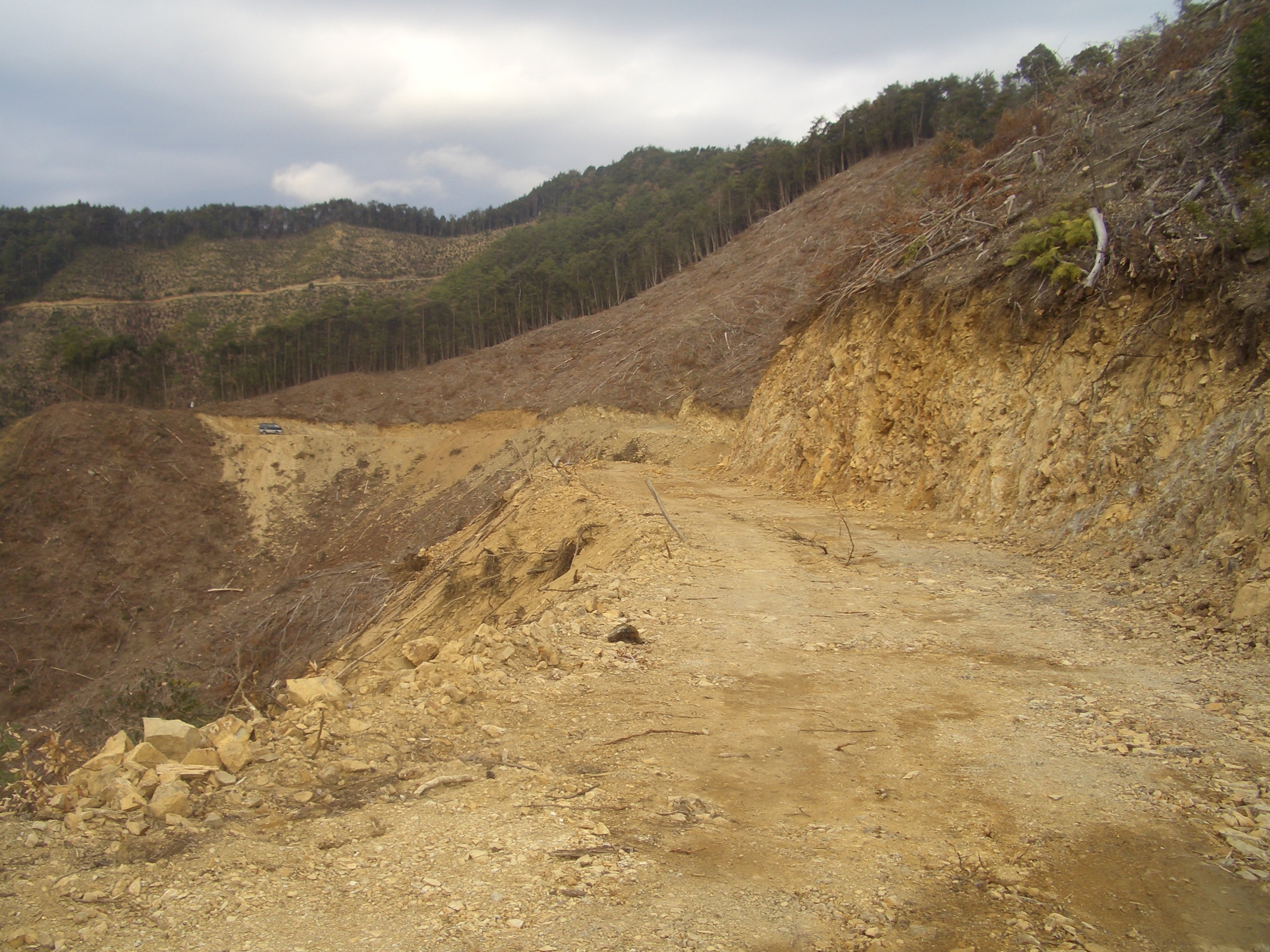 作業道の崩壊 (2) 作業道の崩壊 (2)
