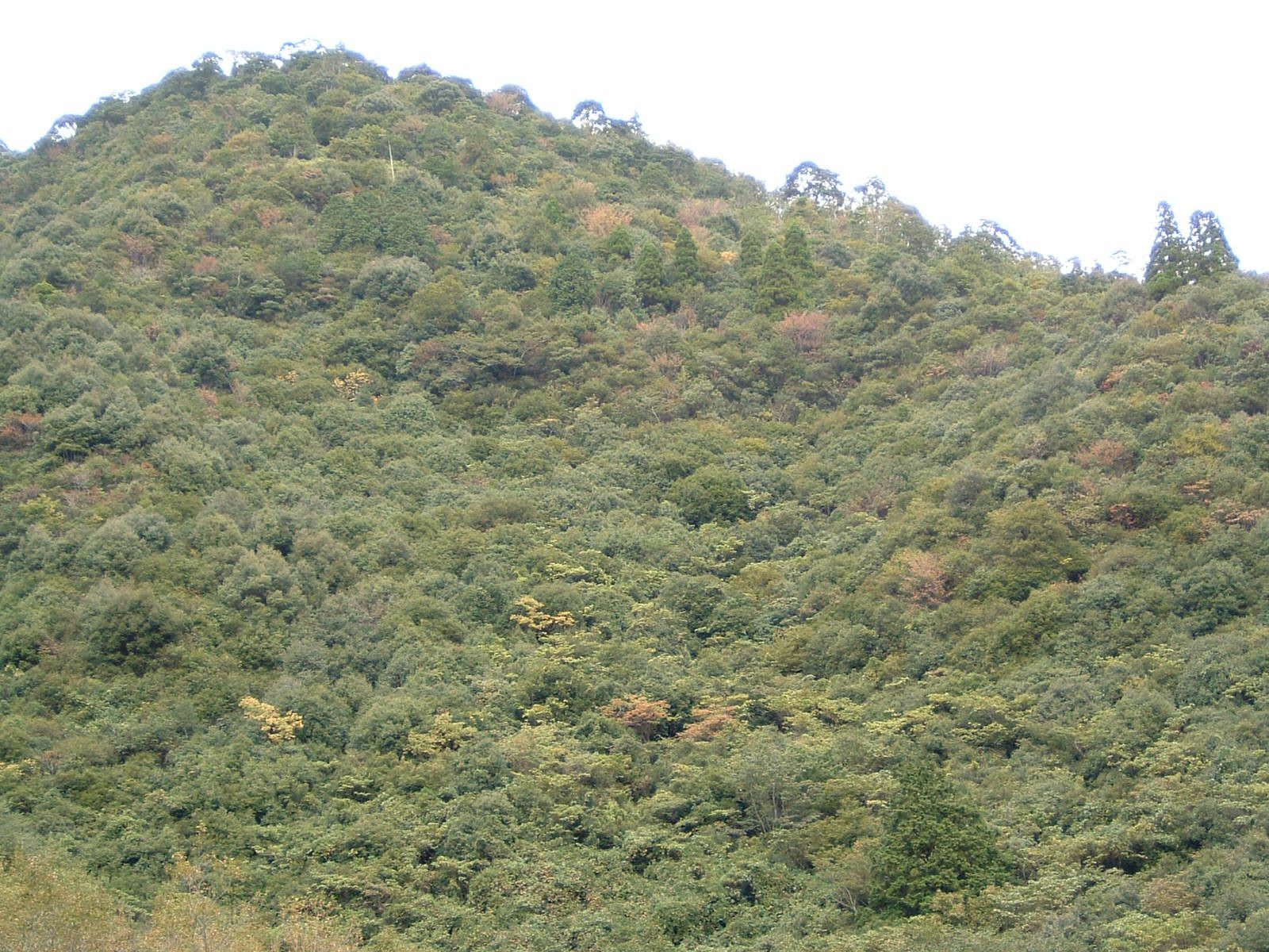 保存契約箇所 保存契約箇所