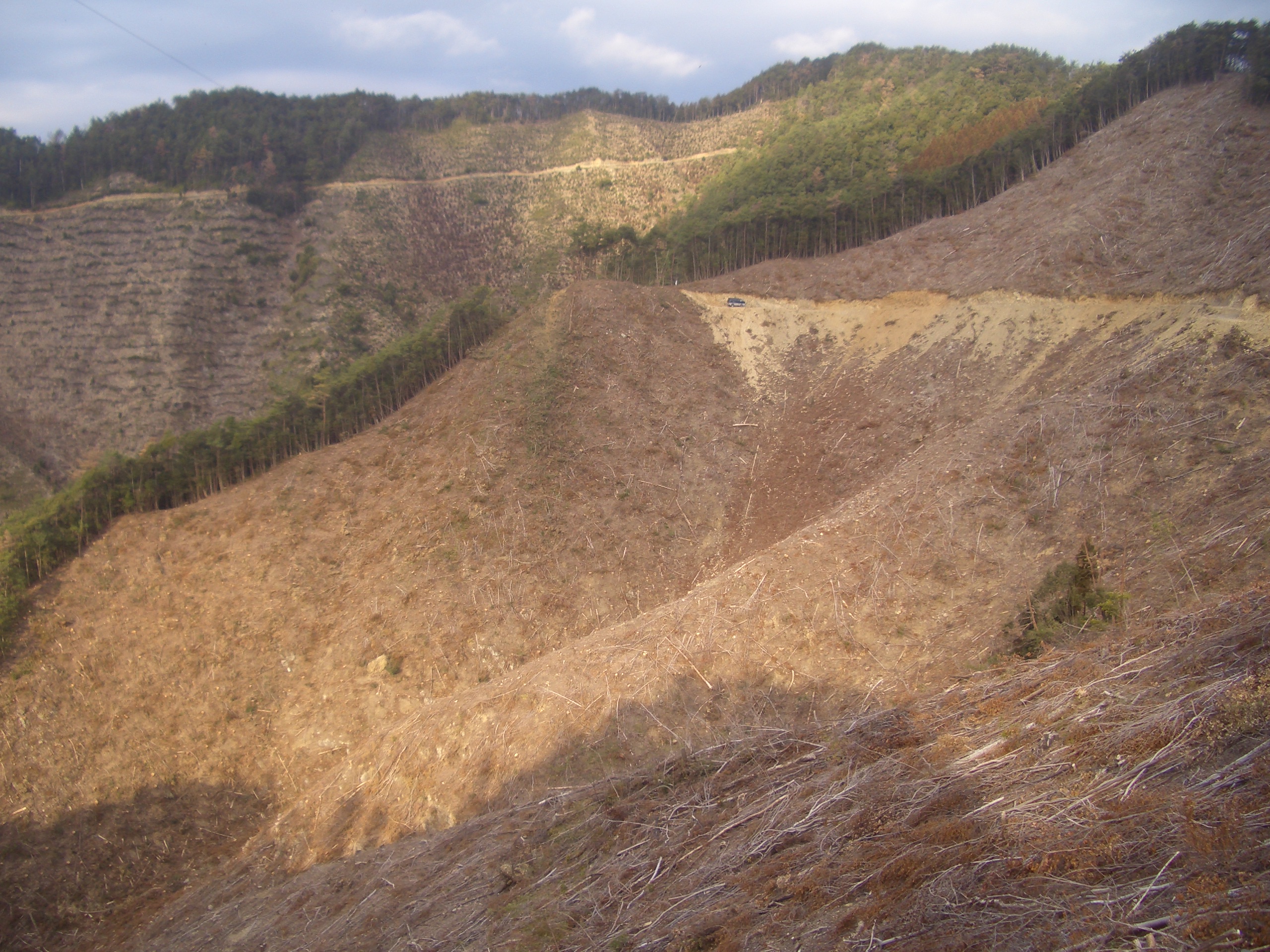 画像 005 画像 005