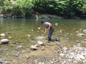 1434336959331 1434336959331