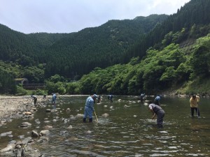 20150615115434 20150615115434