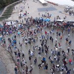 つかみ捕り全体