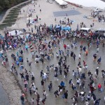 つかみ捕り全体