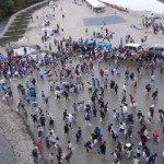 つかみ捕り全体