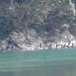 DSC06531 – コピー