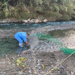 4226e8fdcdfda978e0f166a9af3620acc049db2b4e4e5d3149a573baa8bc421d.0