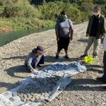 8f85493d53ba7d5520ad36ceb906b419bcf7a7e8e8f6cd704e00526d2f85f0b4.0