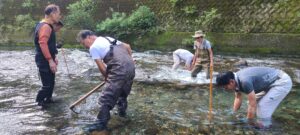 増水していたため川床の石を移動させて水位調整しました。
